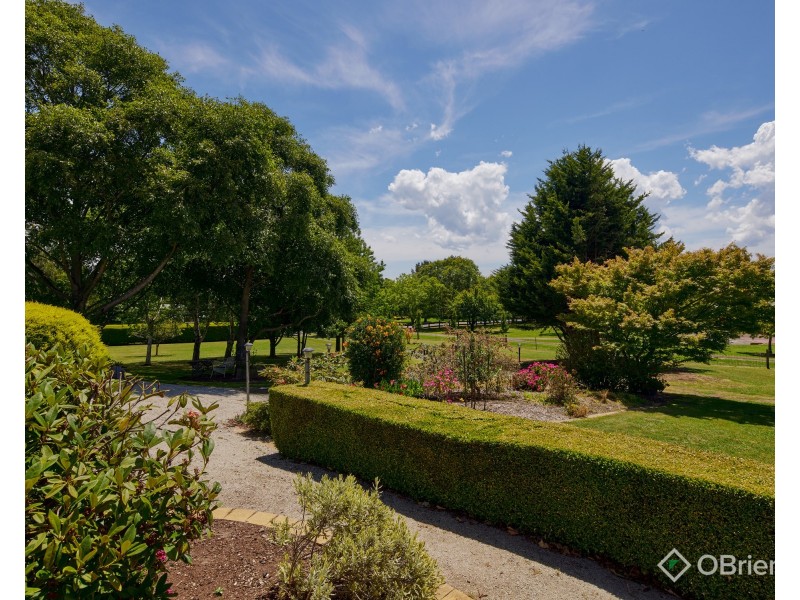 51 Fairway Drive, Drouin VIC 3818