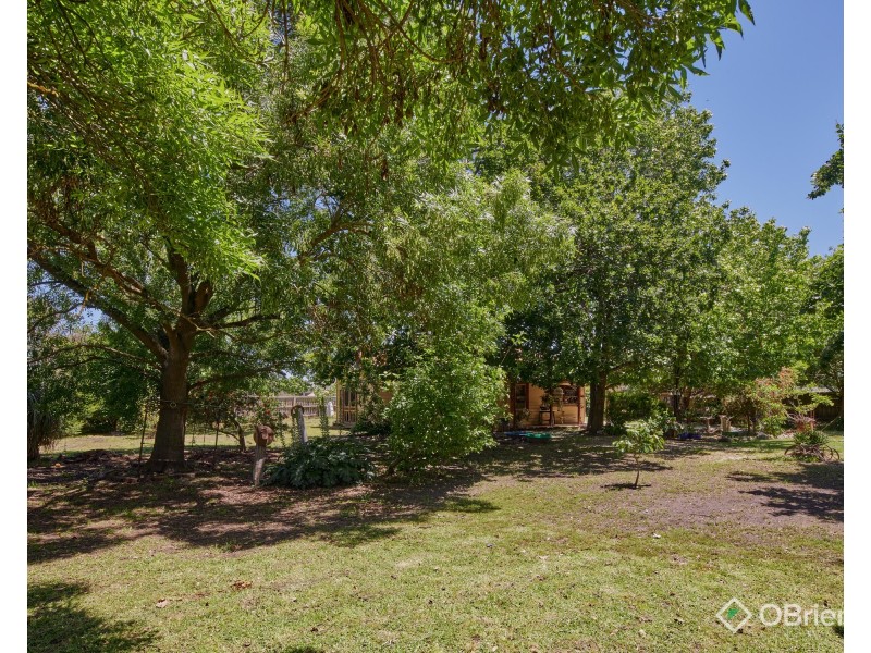 43 Princes Avenue, Longwarry VIC 3816