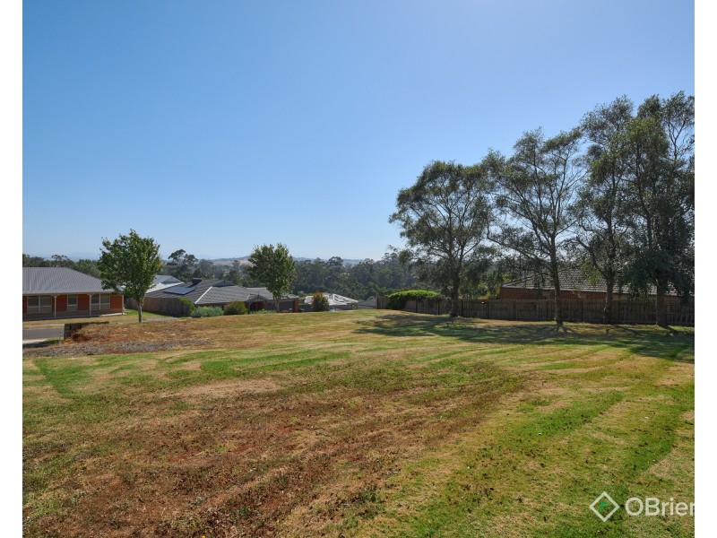 17 Vivian Court, Drouin VIC 3818