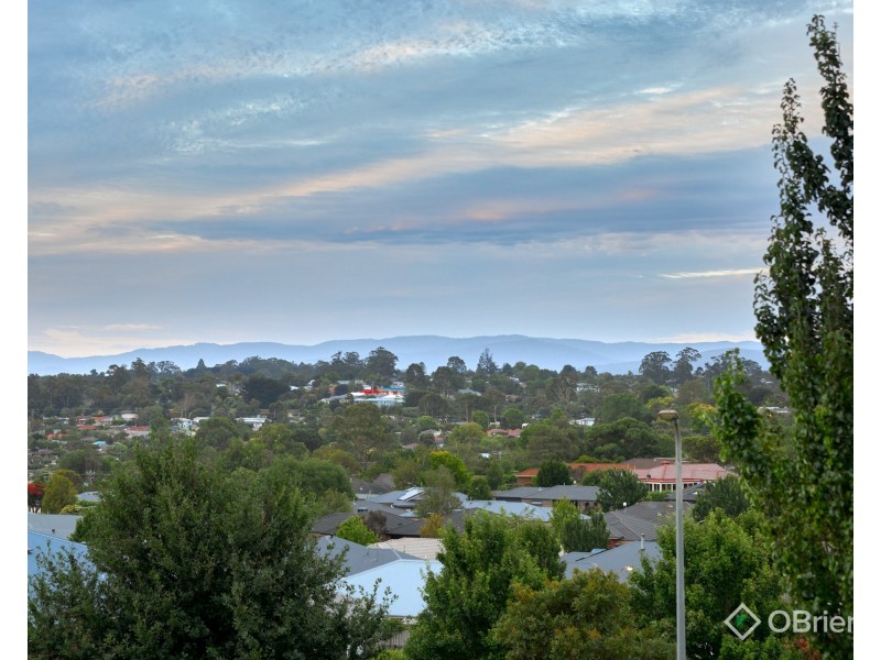 19 Timbertop Crescent, Drouin VIC 3818