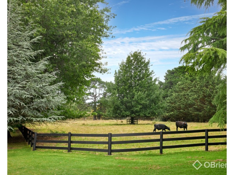 30 Mont Albert Road, Garfield VIC 3814