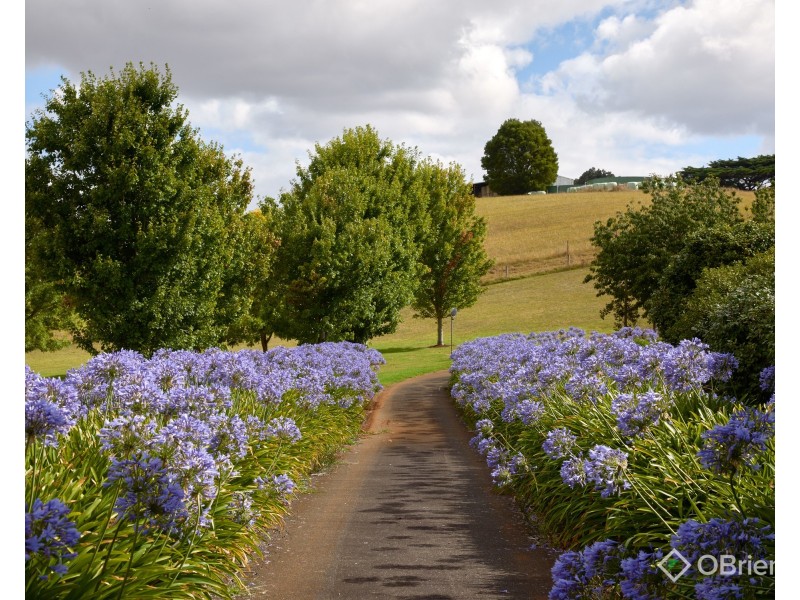 62 Palmer Road, Jindivick VIC 3818