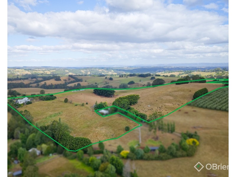 62 Palmer Road, Jindivick VIC 3818