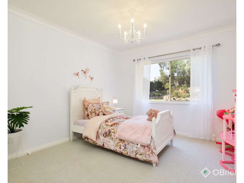 16 Patison Court, Drouin VIC 3818