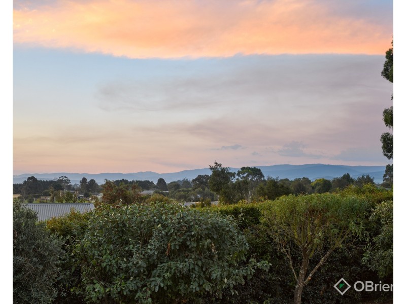 16 Patison Court, Drouin VIC 3818