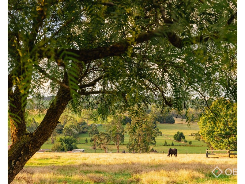 500 Copelands Road, Lillico VIC 3820