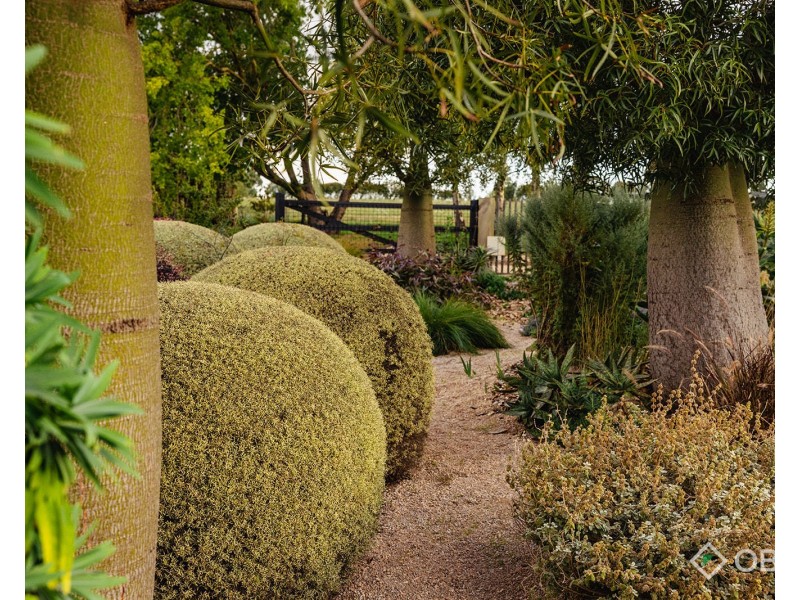 500 Copelands Road, Lillico VIC 3820