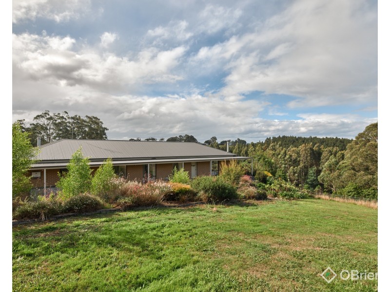 135 Mason Road, Jindivick VIC 3818