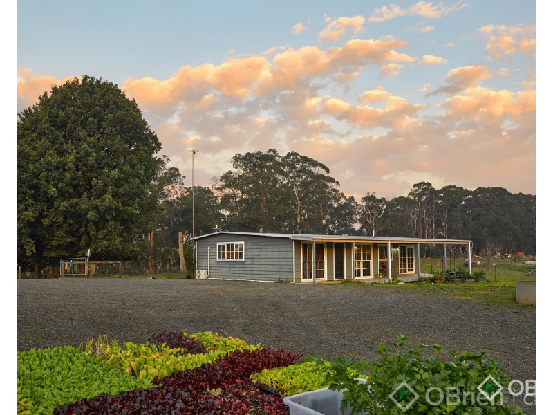 2675 Willow Grove Road, Hill End VIC 3825