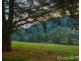 2675 Willow Grove Road, Hill End VIC 3825