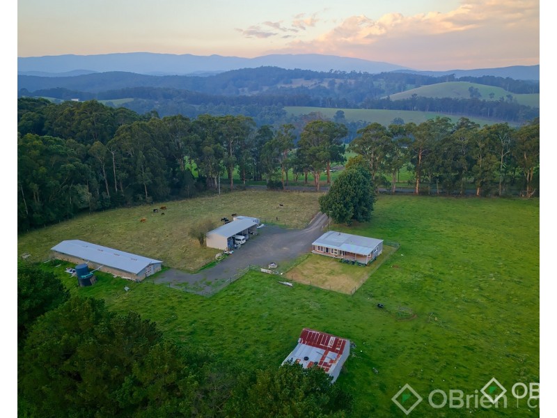 2675 Willow Grove Road, Hill End VIC 3825