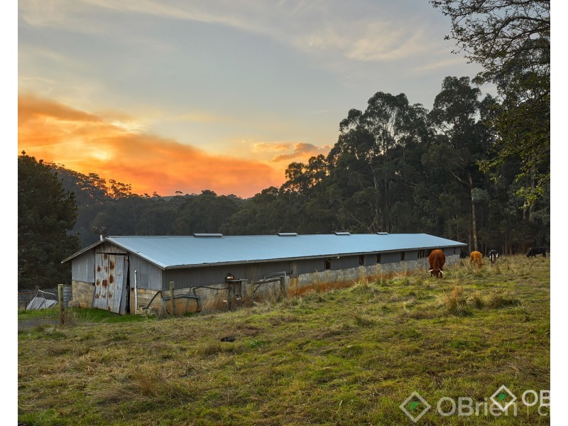 2675 Willow Grove Road, Hill End VIC 3825