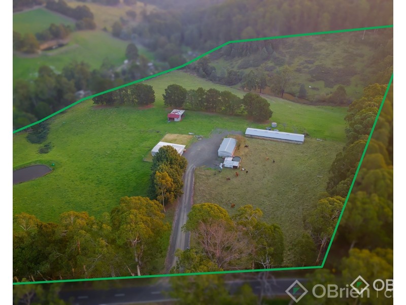 2675 Willow Grove Road, Hill End VIC 3825