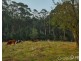 2675 Willow Grove Road, Hill End VIC 3825