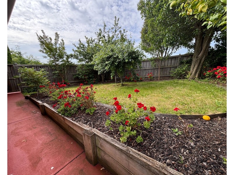 1/2 Cameron Court, Drouin VIC 3818
