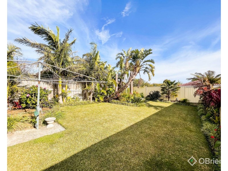 12 Eddington Place, Endeavour Hills VIC 3802