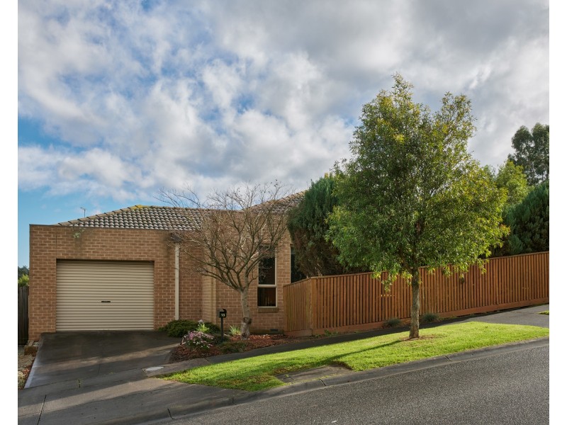 13 Rowan Walk, Drouin VIC 3818