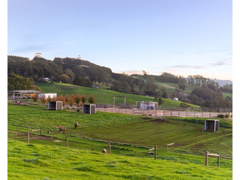 270 Rogers Road, Trafalgar VIC 3824