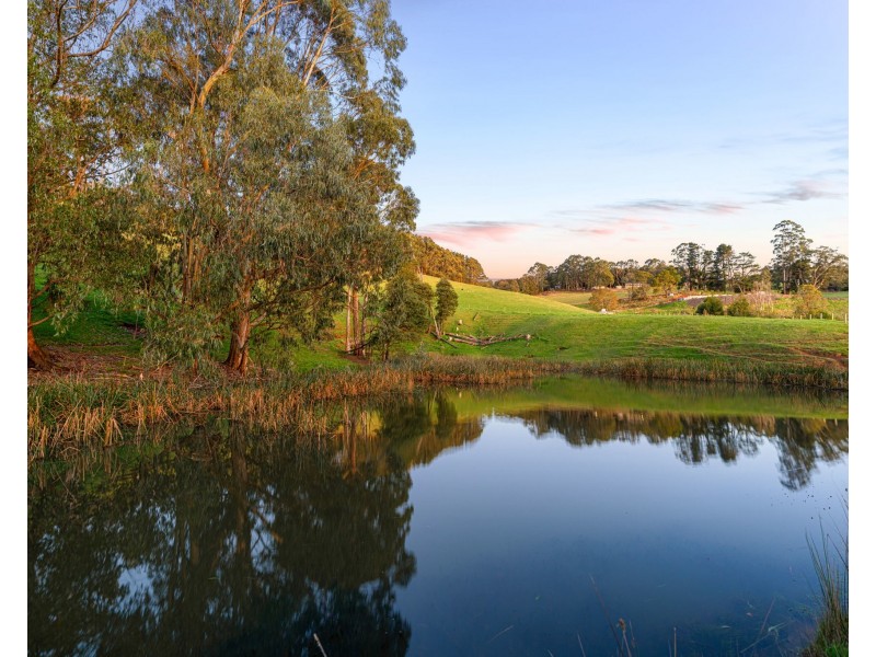 270 Rogers Road, Trafalgar VIC 3824