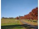331 Warragul-Lardner Road, Warragul South VIC 3821