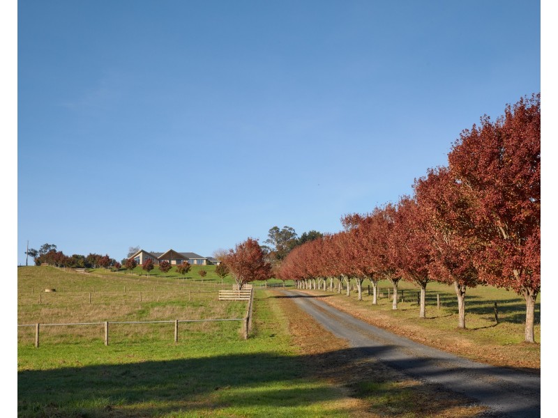 331 Warragul-Lardner Road, Warragul South VIC 3821