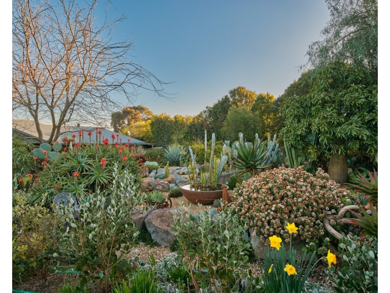 13 Silky Oak Court, Garfield VIC 3814