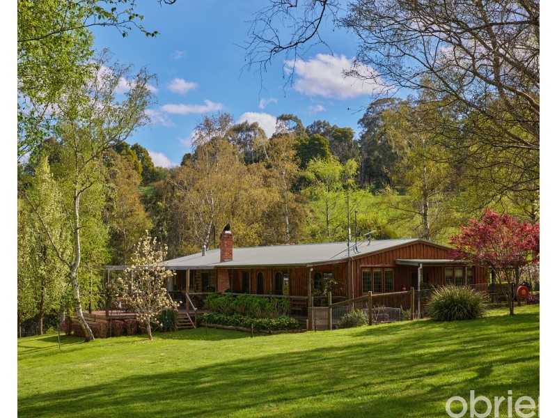 466 Duggan North Road, Fumina VIC 3825