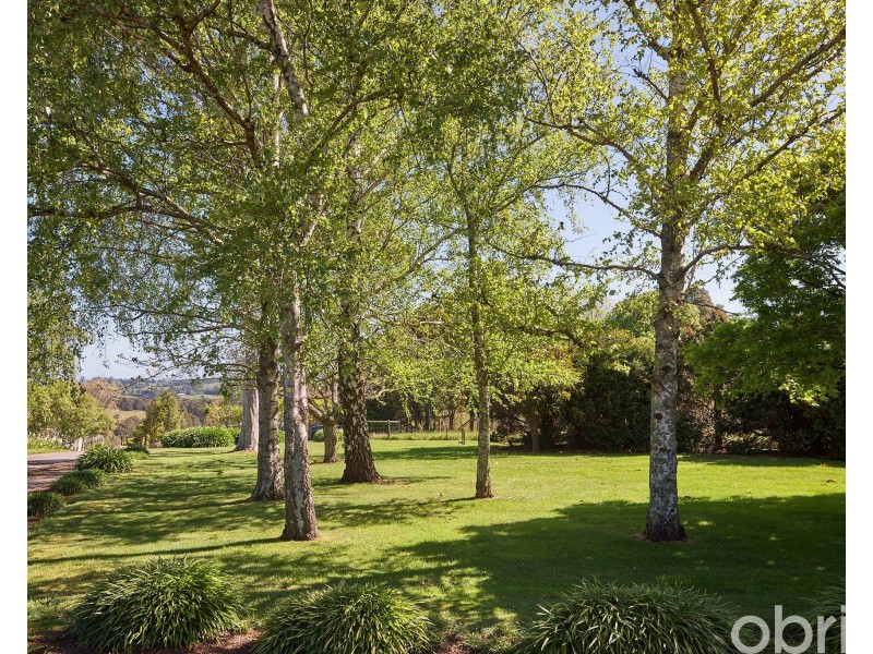 20 Burtonwood Court, Neerim South VIC 3831