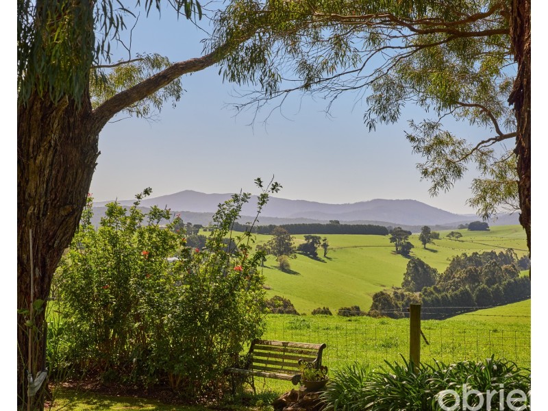 20 Burtonwood Court, Neerim South VIC 3831