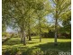 20 Burtonwood Court, Neerim South VIC 3831