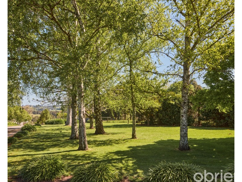 20 Burtonwood Court, Neerim South VIC 3831