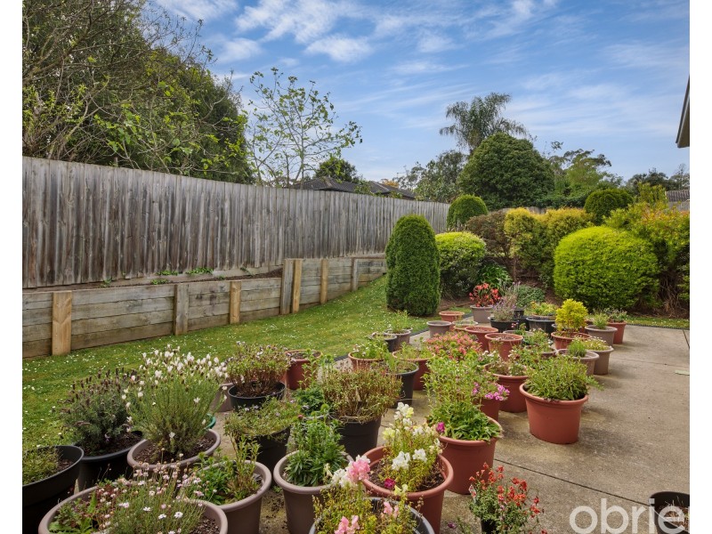 6 Oberon Place, Drouin VIC 3818
