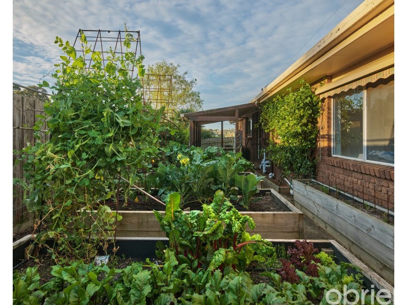 2 Edward Street, Drouin VIC 3818