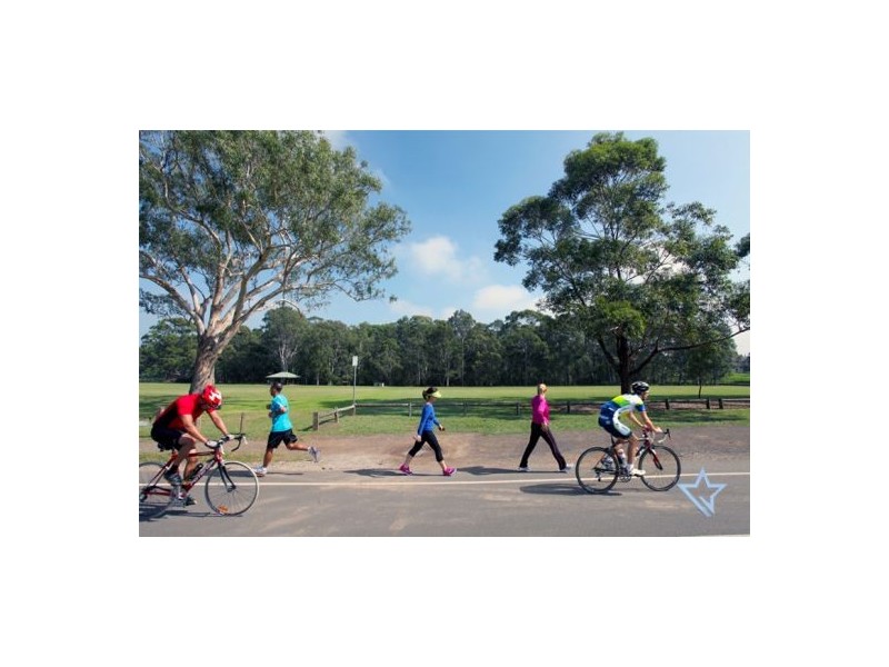 14 Park Avenue, Westmead NSW 2145