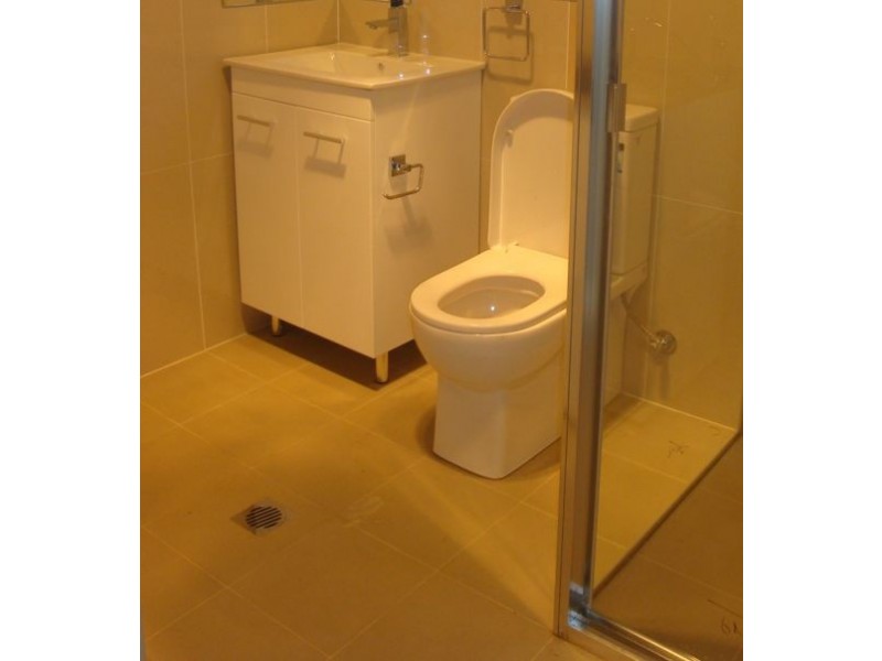 113A Adderton Road, Telopea NSW 2117