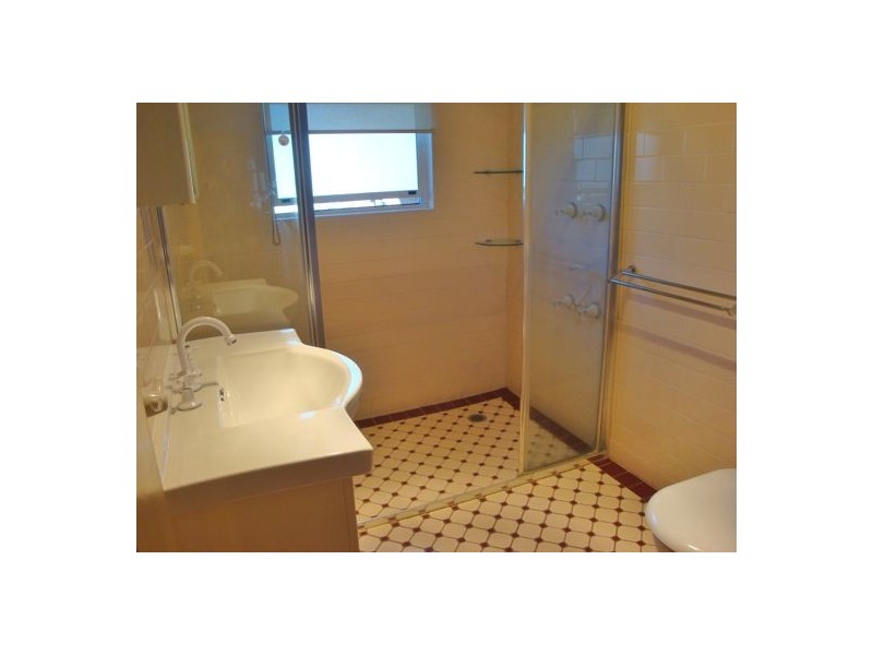 39 Iron Street, North Parramatta NSW 2151