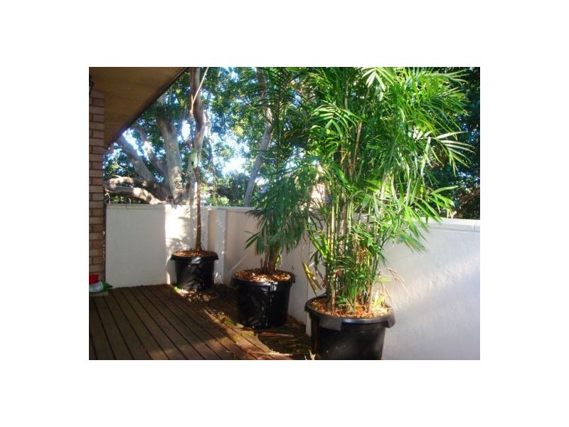 10/9-13 Galloway Street, Parramatta NSW 2150