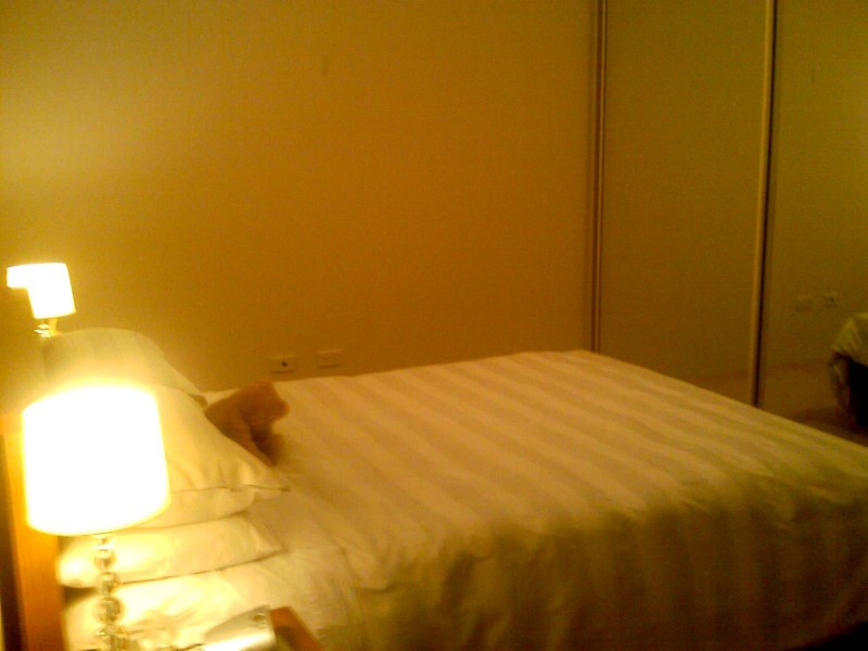 North Parramatta NSW 2151