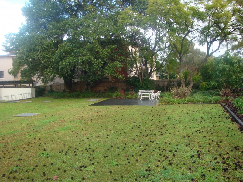 North Parramatta NSW 2151