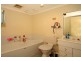 Westmead NSW 2145