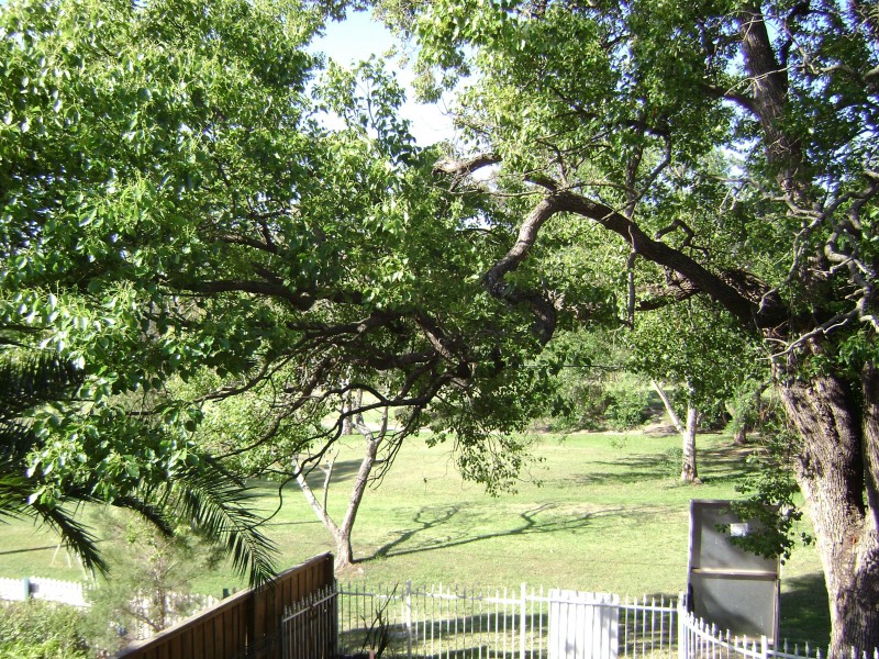 21 LICHEN PLACE, Mays Hill NSW 2145