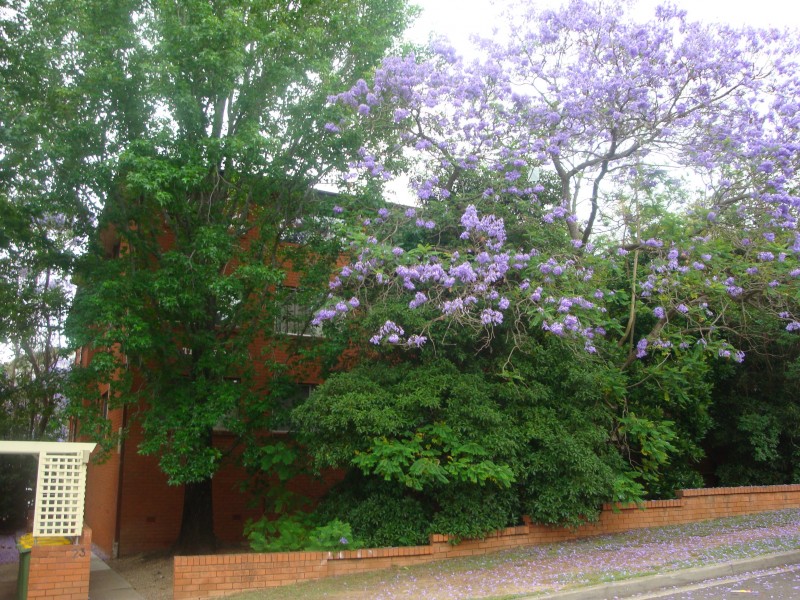 North Parramatta NSW 2151