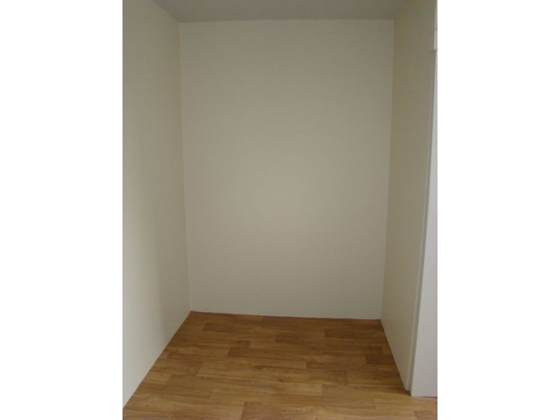 1/4 Mooney St, Strathfield South NSW 2136