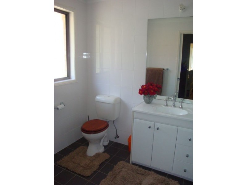 21 Blackwattle Cct, Northmead NSW 2152