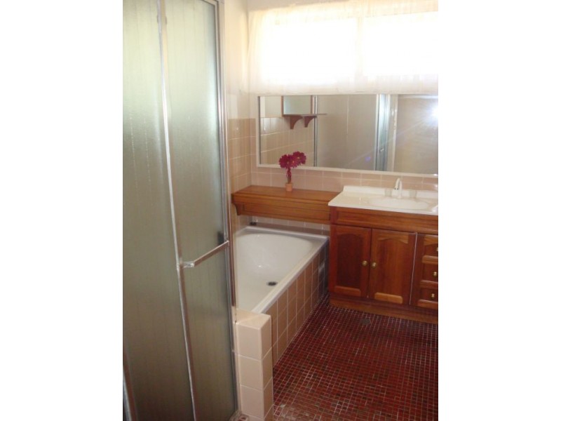 11 Oleander Street, Greystanes NSW 2145