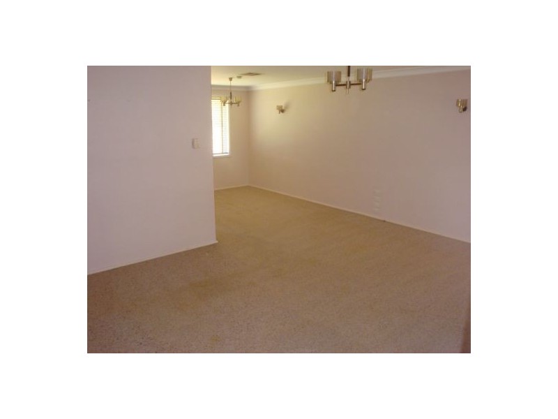 20 Tracey Street, Revesby NSW 2212