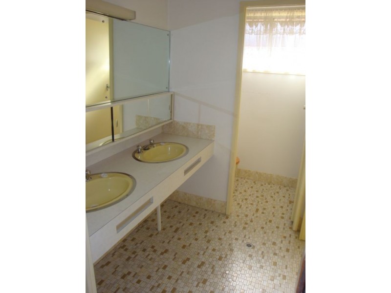 20 Tracey Street, Revesby NSW 2212