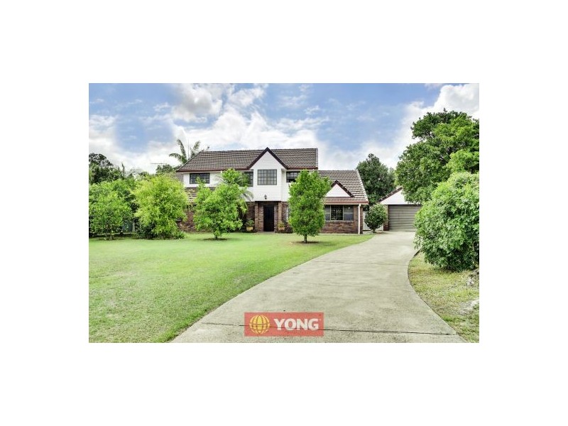 6 Betula Pl, Sunnybank Hills QLD 4109