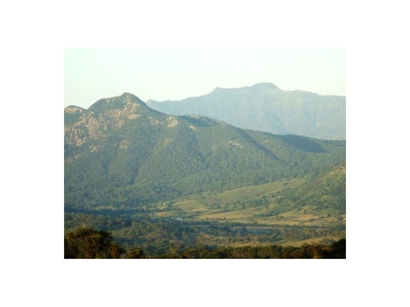 Wallaces Creek QLD 4310