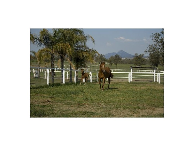 Harrisville QLD 4307